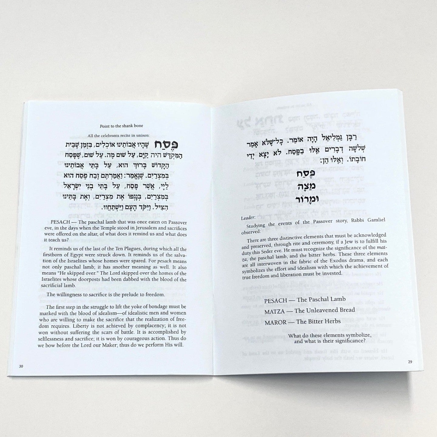 Haggadahs, Set of Five