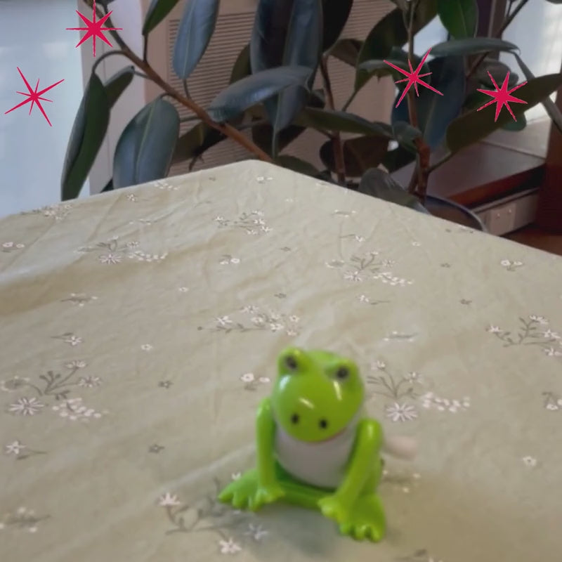Back Flip Frog